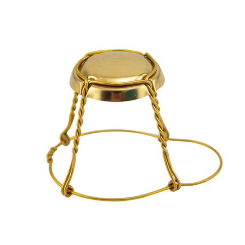 Champagne Wire Hood Gold Disc Pack of 100