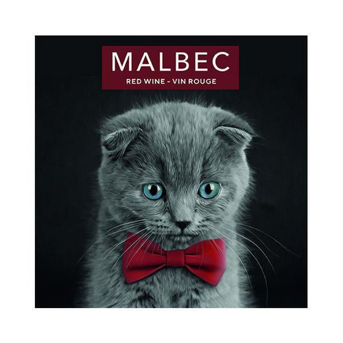 Malbec Kitten with Blue Eyes & Red Bow Tie Pack of 50 Wine Labels (3.78 in x 3.78 in | 9.6 cm x 9.6 cm)
