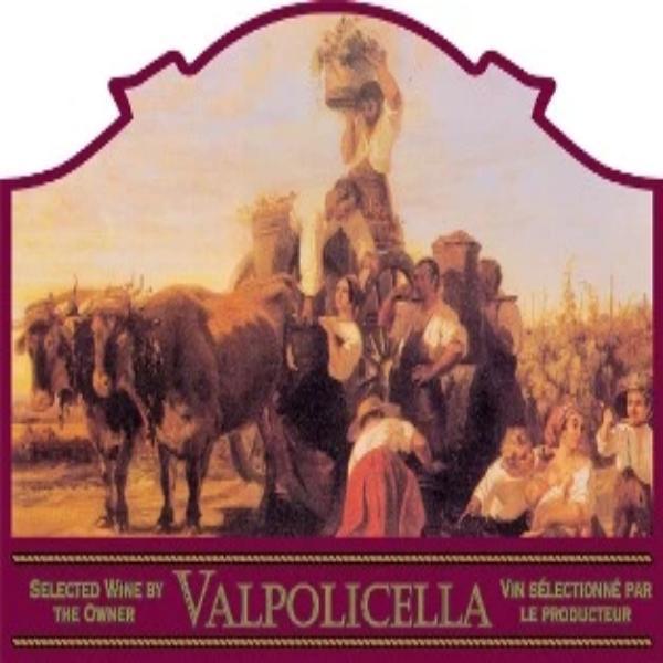 Valpolicella Wine Label 30 per Pack ( 4 in x 6 in | 10 cm x 15 cm)