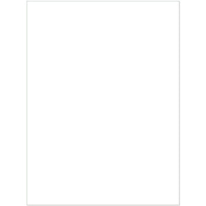 Customizable Blank White Labels 4 per Sheet Pack of 80 (8.5 in x 11 in | 28 cm x 21.5 cm)